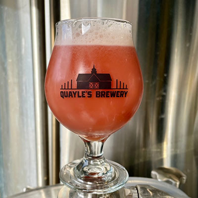 Cabin Fever Cranberry-Mango Sour
