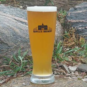 Gold Canary - Grisette