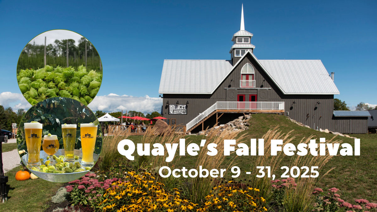Quayles_Fall_Festival-1200x675rev