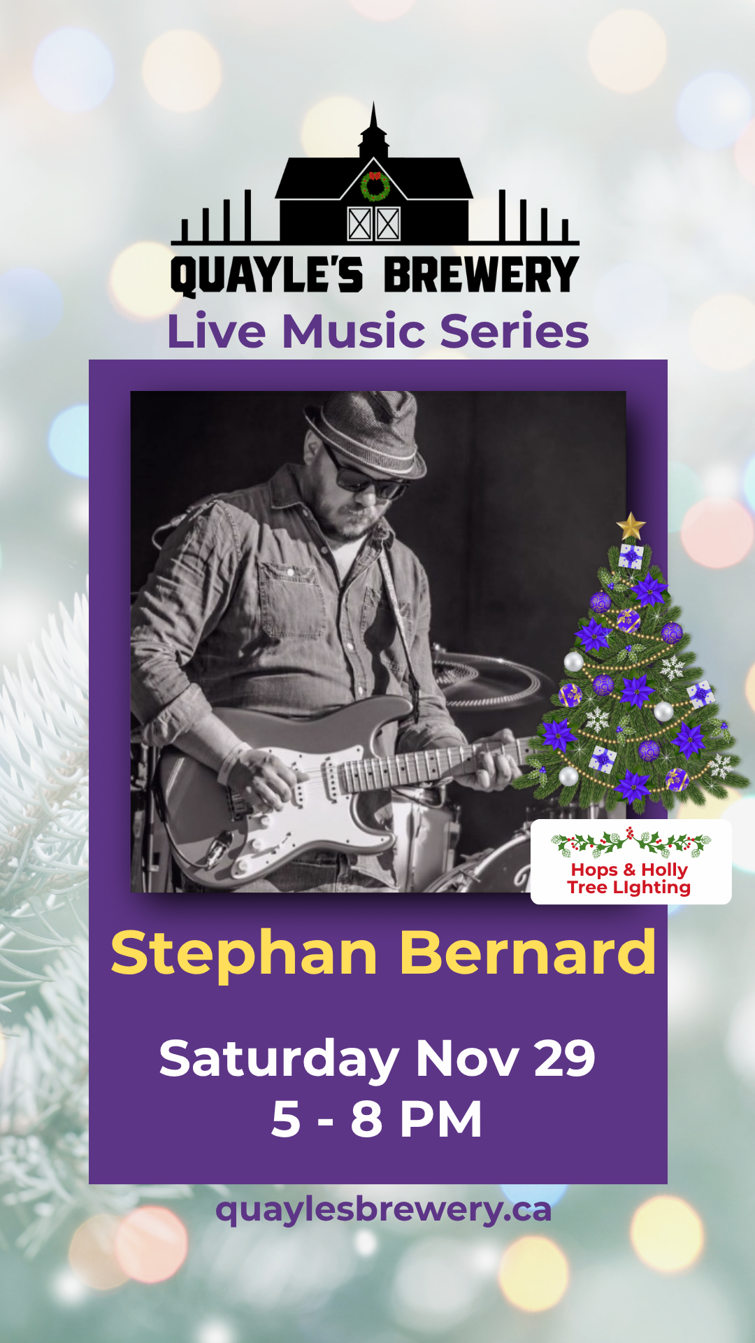 Nov_29-Stephan_Bernard-5_to_8_pm