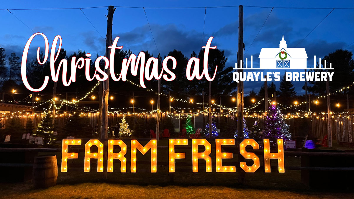 Opening-Image-Christmas-at-Quayles-2025