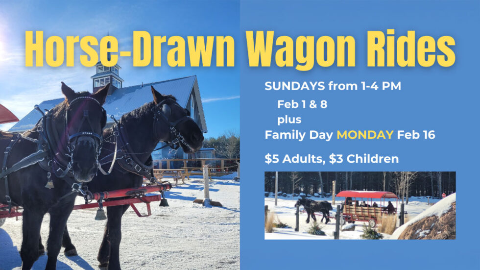 Wagon Rides Sign Horse Drawn Wagon Rides @ Quayle's - Quayle's Brewery