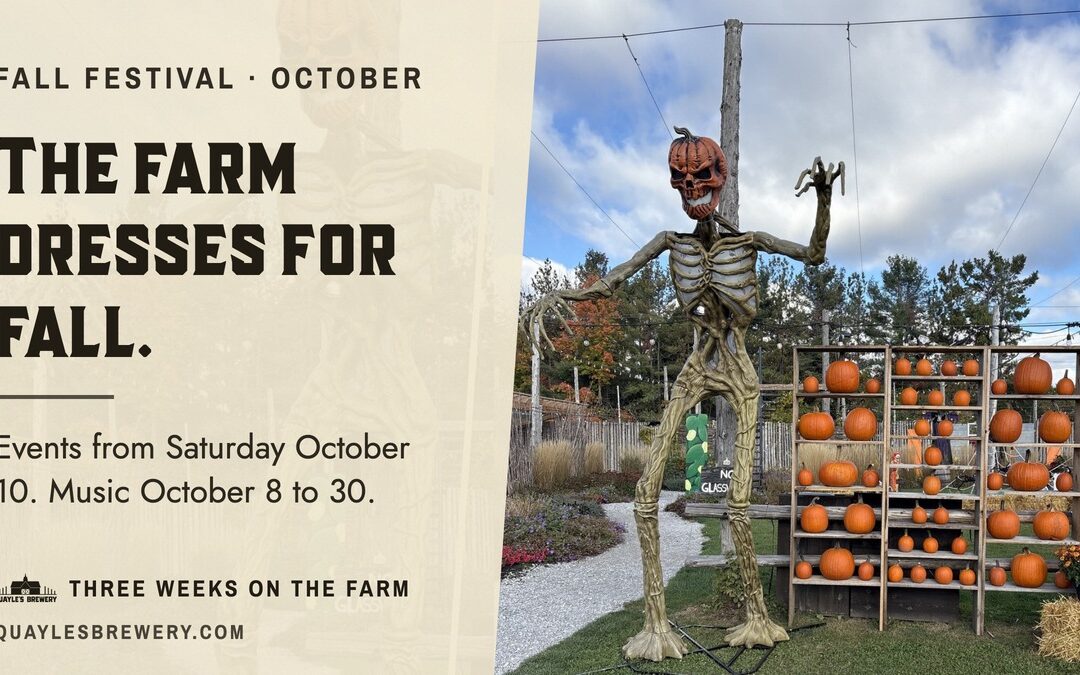 Fall Festival @ Quayles
